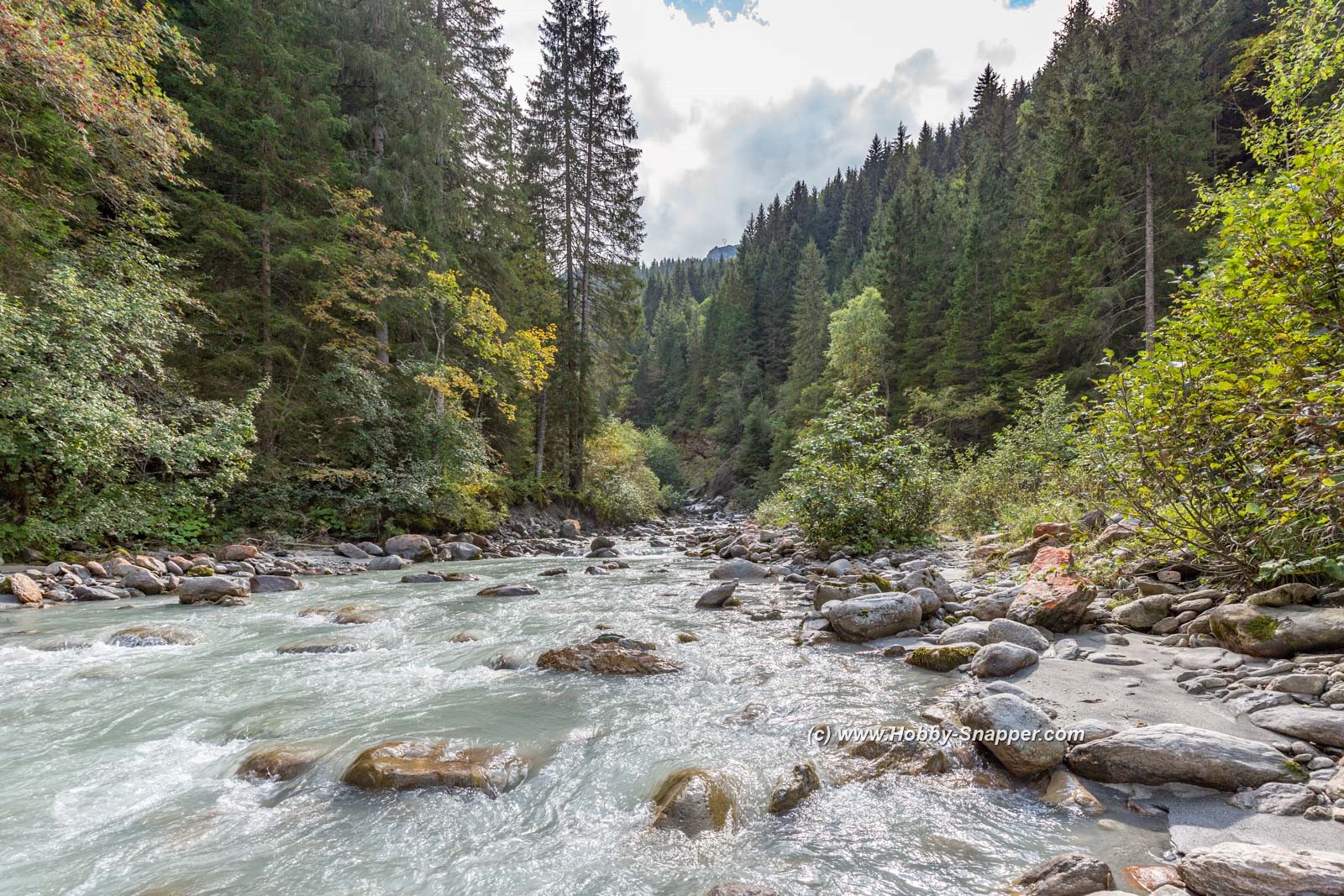 The river out at the Gorge  
